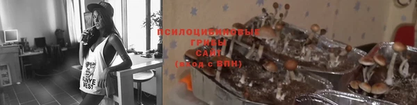 ALPHA PVP Зерноград